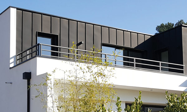 Zebra 2 – Image 2
