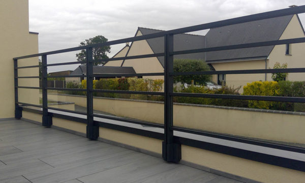Kentia – Image 2